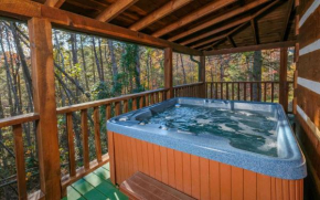 Laughing Bear Pigeon Forge